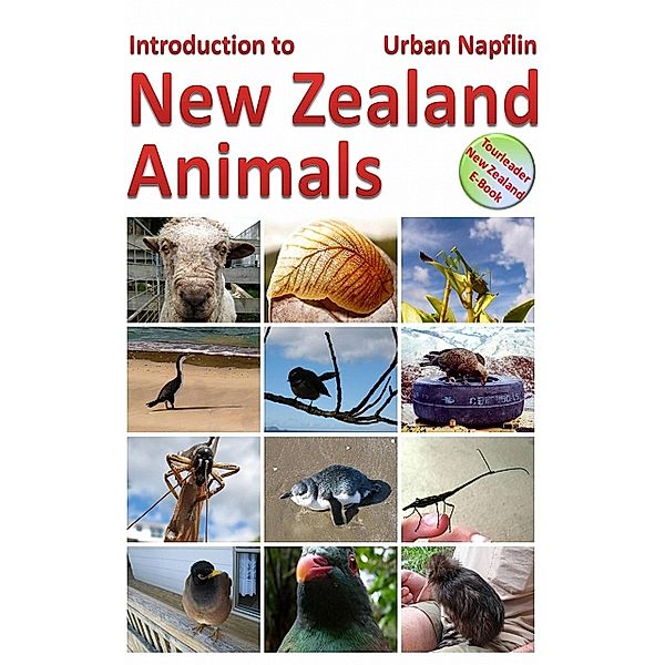 Introduction to New Zealand animals, Urban Näpflin