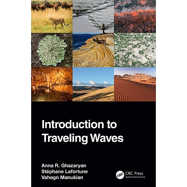 Introduction to Traveling Waves, Anna R. Ghazaryan, Stéphane Lafortune, Vahagn Manukian