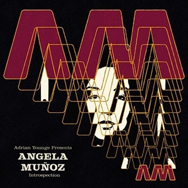 Introspection, Angela Munoz