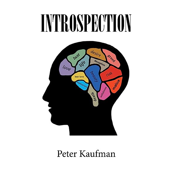 Introspection, Peter Kaufman