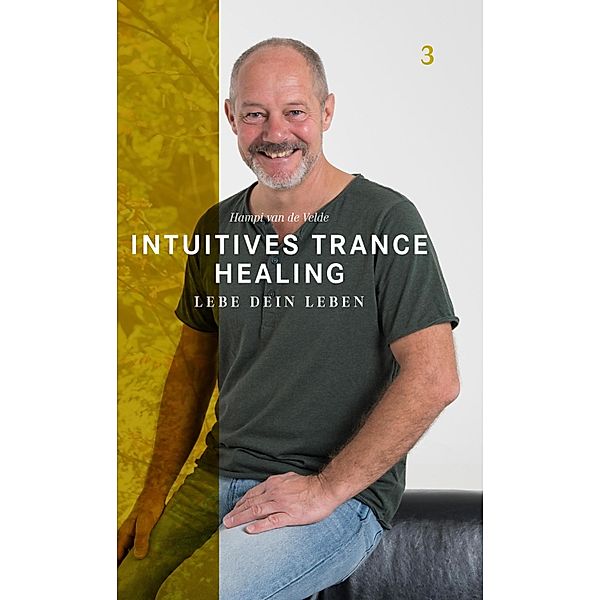 Intuitives Trance Healing / Trance Healing Bd.3, Hampi van de Velde