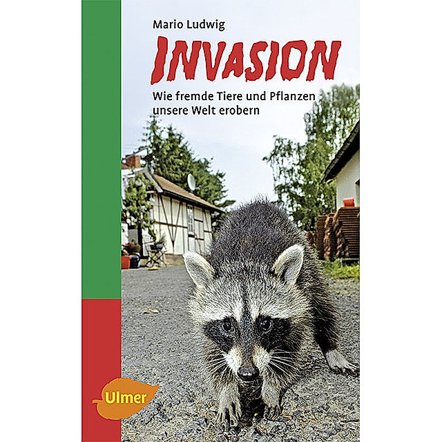 Invasion Buch von Mario Ludwig versandkostenfrei bestellen - Weltbild.de