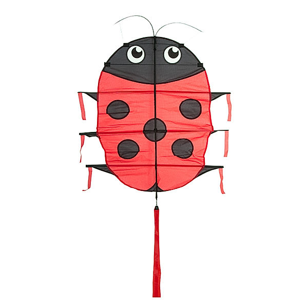 Invento Drache Lillie Ladybug