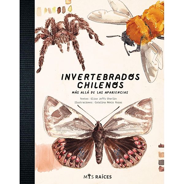 Invertebrados chilenos, Elisa Jeffs Charlin, Catalina Mekiz Rozas