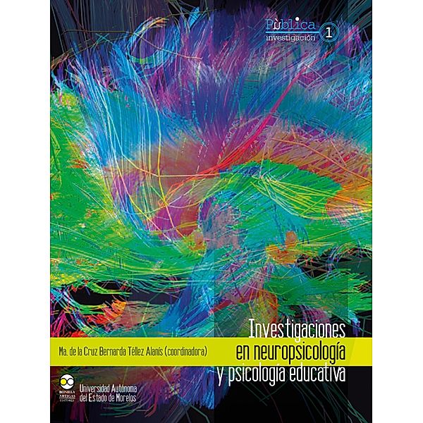 Investigaciones en neuropsicología y psicología educativa / Investigación Bd.1