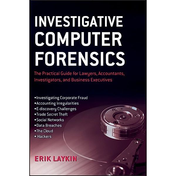 Investigative Computer Forensics, Erik Laykin