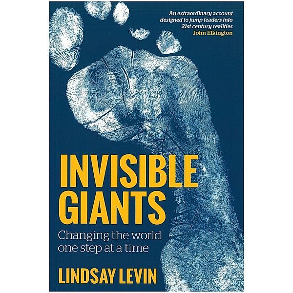 Invisible Giants, Lindsay Levin
