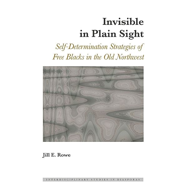 Invisible in Plain Sight, Jill E. Rowe