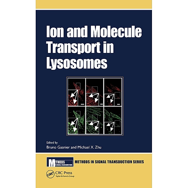 Ion and Molecule Transport in Lysosomes