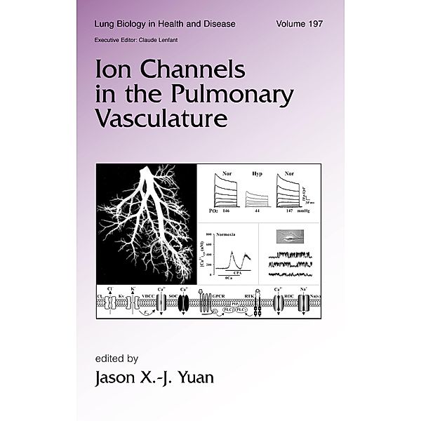 Ion Channels in the Pulmonary Vasculature