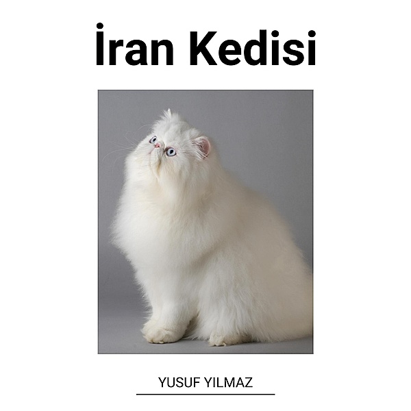 Iran Kedisi, Yusuf Yilmaz