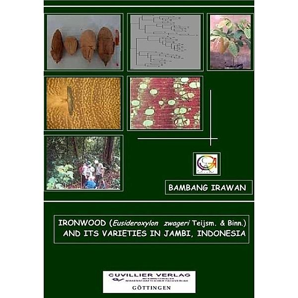 Irawan, B: Ironwood (Eusideroxylon zwageri Teijsm. & Binn.), Bambang Irawan