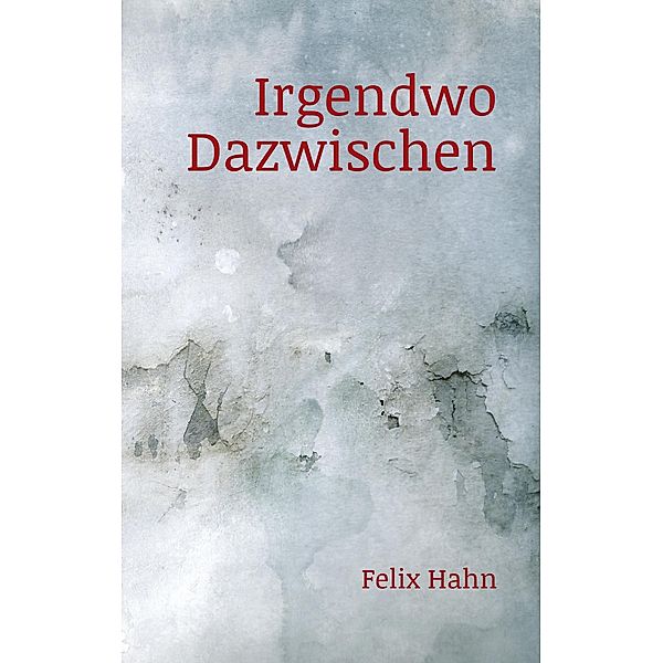 Irgendwo Dazwischen, Felix Hahn