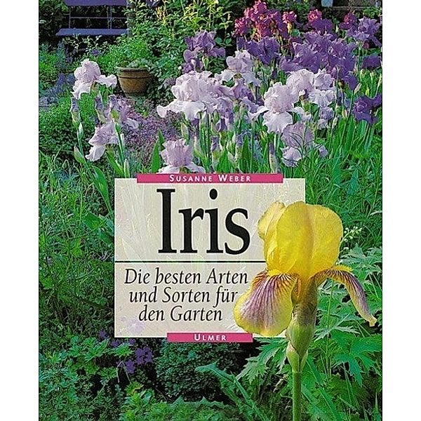 Iris, Susanne Weber