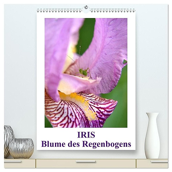 Iris, Blume des Regenbogens (hochwertiger Premium Wandkalender 2024 DIN A2 hoch), Kunstdruck in Hochglanz, Willi Haas