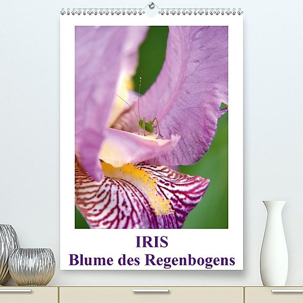 Iris, Blume des Regenbogens (Premium-Kalender 2020 DIN A2 hoch), Willi Haas