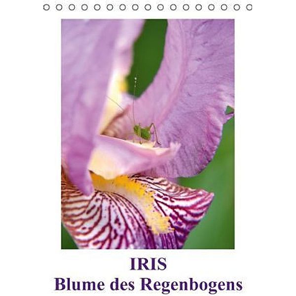 Iris, Blume des Regenbogens (Tischkalender 2015 DIN A5 hoch), Willi Haas