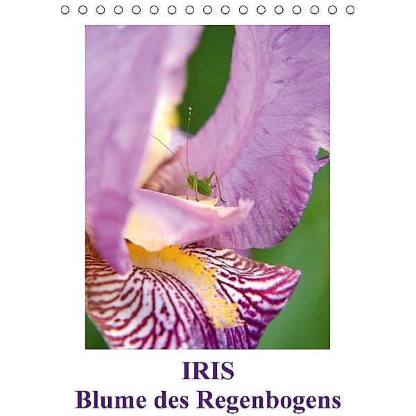 Iris, Blume des Regenbogens (Tischkalender 2018 DIN A5 hoch), Willi Haas