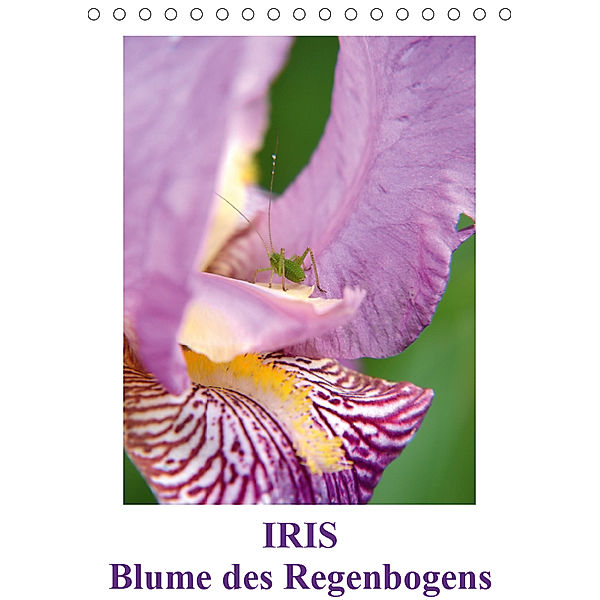 Iris, Blume des Regenbogens (Tischkalender 2019 DIN A5 hoch), Willi Haas
