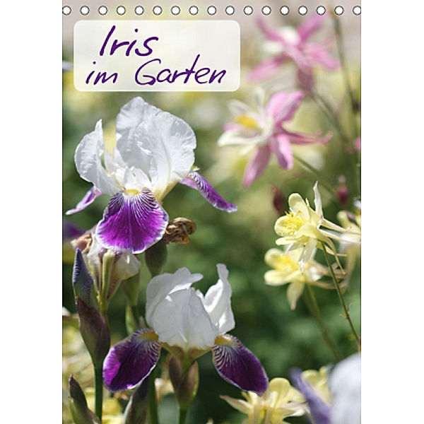 Iris im Garten (Tischkalender 2020 DIN A5 hoch), Gisela Kruse