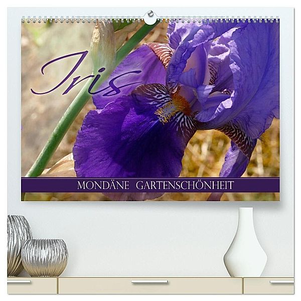 Iris - mondäne Gartenschönheit (hochwertiger Premium Wandkalender 2025 DIN A2 quer), Kunstdruck in Hochglanz, Calvendo, Christine B-B Müller