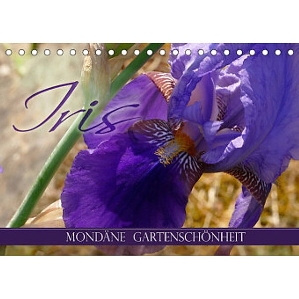 Iris - mondäne Gartenschönheit (Tischkalender 2022 DIN A5 quer), Christine B-B Müller