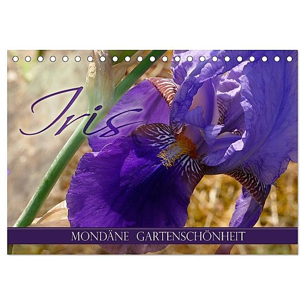 Iris - mondäne Gartenschönheit (Tischkalender 2024 DIN A5 quer), CALVENDO Monatskalender, Christine B-B Müller