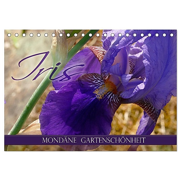 Iris - mondäne Gartenschönheit (Tischkalender 2024 DIN A5 quer), CALVENDO Monatskalender, Christine B-B Müller