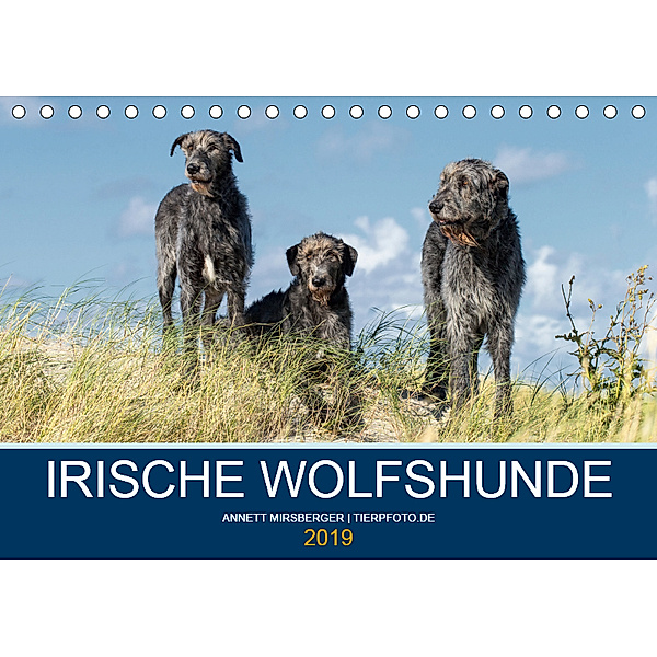 Irische Wolfshunde (Tischkalender 2019 DIN A5 quer), Annett Mirsberger