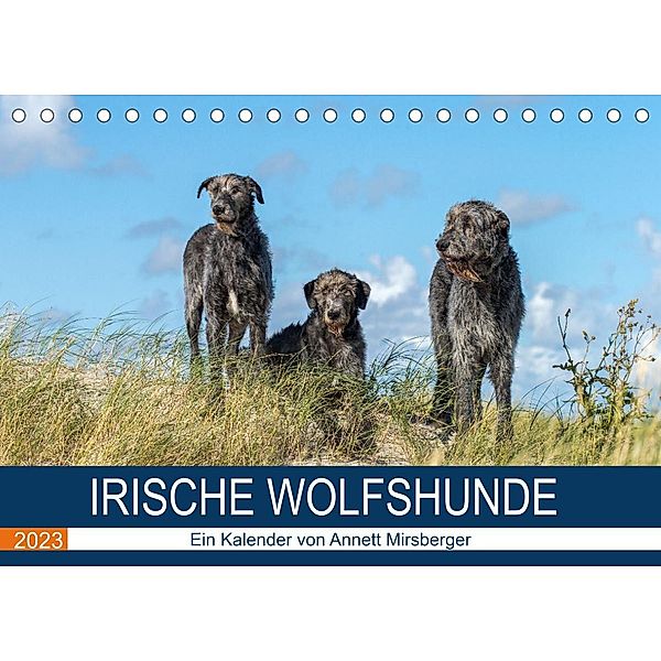 Irische Wolfshunde (Tischkalender 2023 DIN A5 quer), Annett Mirsberger