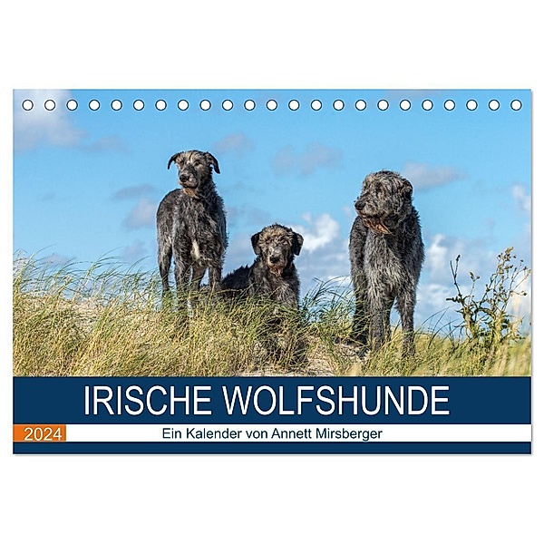 Irische Wolfshunde (Tischkalender 2024 DIN A5 quer), CALVENDO Monatskalender, Annett Mirsberger