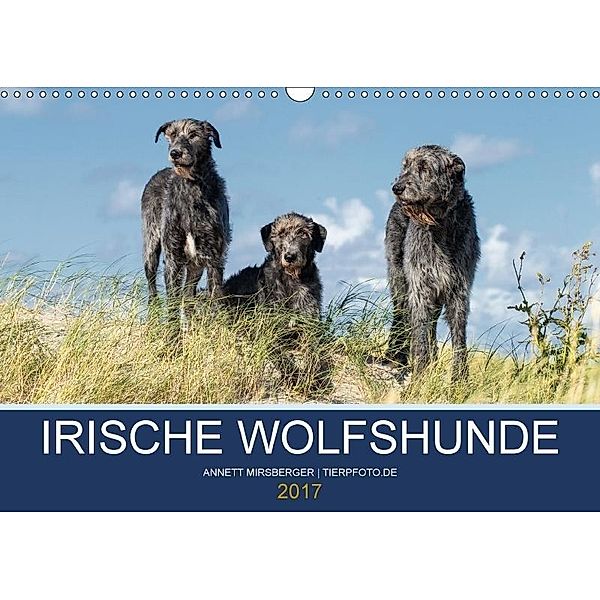 Irische Wolfshunde (Wandkalender 2017 DIN A3 quer), Annett Mirsberger