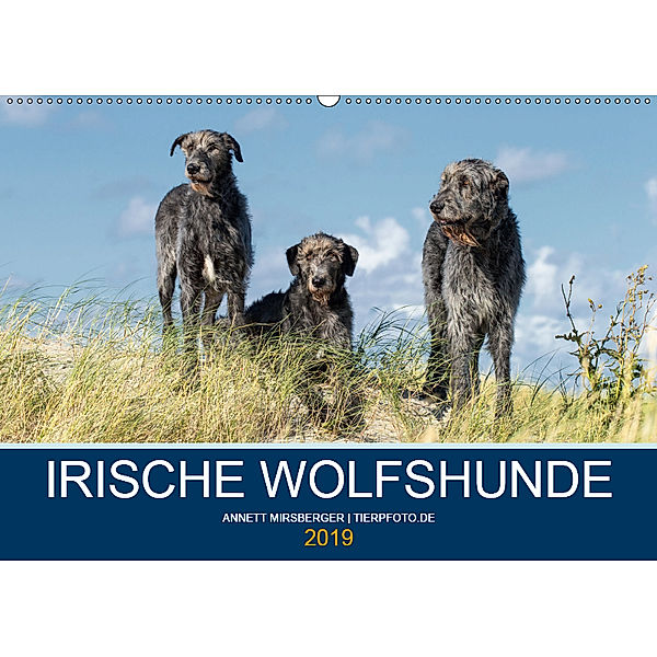 Irische Wolfshunde (Wandkalender 2019 DIN A2 quer), Annett Mirsberger