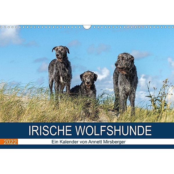 Irische Wolfshunde (Wandkalender 2022 DIN A3 quer), Annett Mirsberger