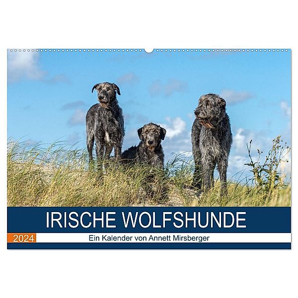 Irische Wolfshunde (Wandkalender 2024 DIN A2 quer), CALVENDO Monatskalender, Annett Mirsberger