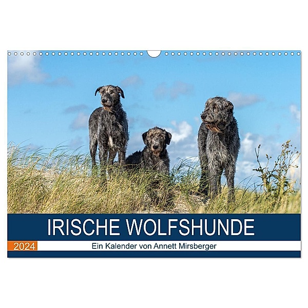 Irische Wolfshunde (Wandkalender 2024 DIN A3 quer), CALVENDO Monatskalender, Annett Mirsberger