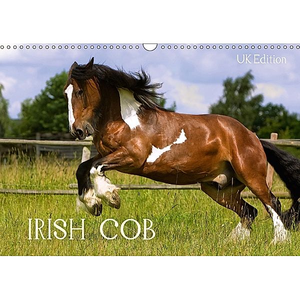 Irish Cob (Wall Calendar 2018 DIN A3 Landscape), Gabriela Wejat-Zaretzke