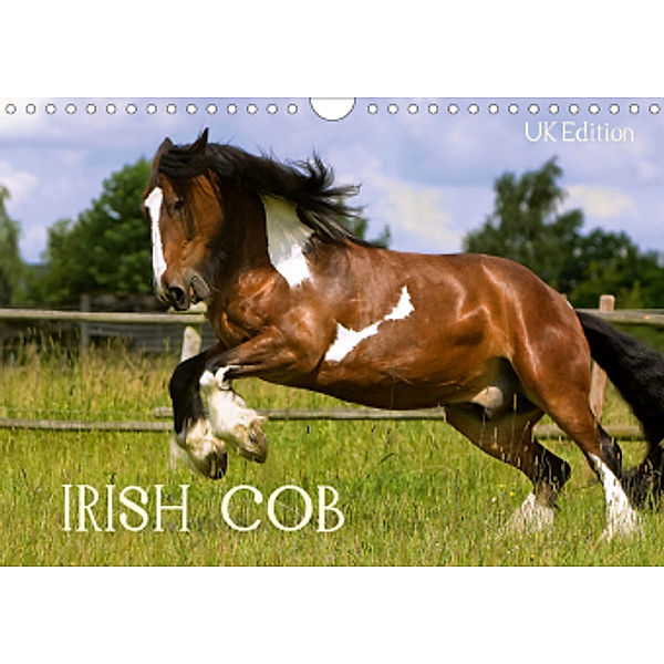 Irish Cob (Wall Calendar 2021 DIN A4 Landscape), Gabriela Wejat-Zaretzke