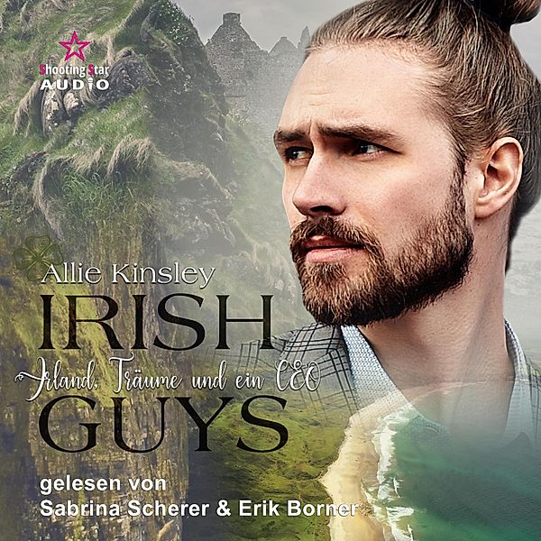 Irish Guys - 1 - Irland, Träume und ein CEO, Allie Kinsley