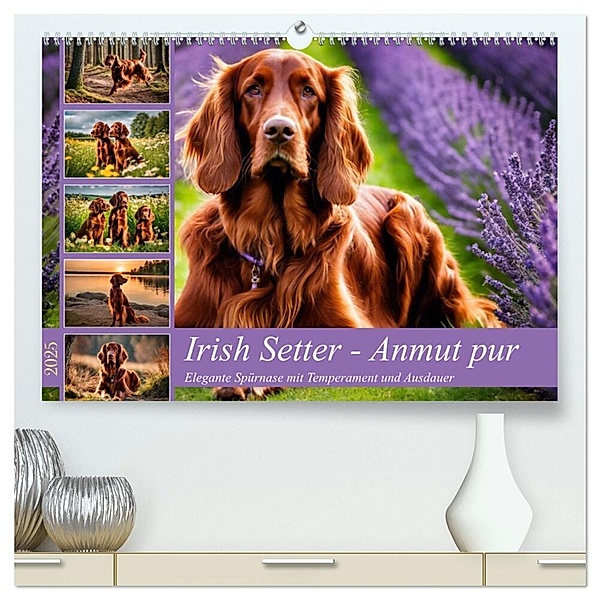 Irish Setter - Anmut pur (hochwertiger Premium Wandkalender 2025 DIN A2 quer), Kunstdruck in Hochglanz, Calvendo, Claudia Kleemann