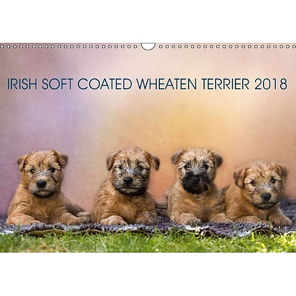 IRISH SOFT COATED WHEATEN TERRIER 2018 (Wandkalender 2018 DIN A3 quer), Annett Mirsberger