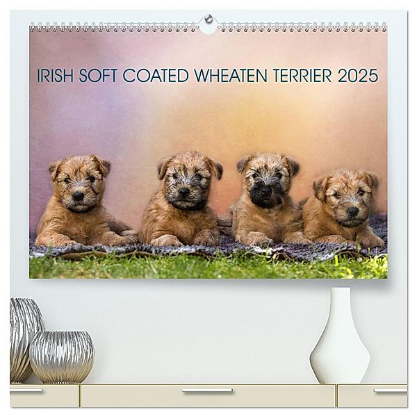 IRISH SOFT COATED WHEATEN TERRIER 2025 (hochwertiger Premium Wandkalender 2025 DIN A2 quer), Kunstdruck in Hochglanz, Calvendo, Annett Mirsberger www.tierpfoto.de