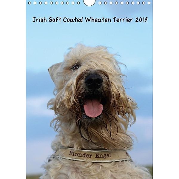 Irish Soft Coated Wheaten Terrier Kalender 2017 (Wandkalender 2017 DIN A4 hoch), Anja Eitzenberger