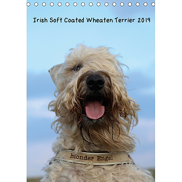 Irish Soft Coated Wheaten Terrier Kalender 2019 (Tischkalender 2019 DIN A5 hoch), Anja Eitzenberger