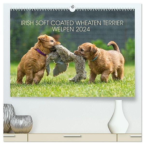 IRISH SOFT COATED WHEATEN TERRIER WELPEN 2024 (hochwertiger Premium Wandkalender 2024 DIN A2 quer), Kunstdruck in Hochglanz, Annett Mirsberger