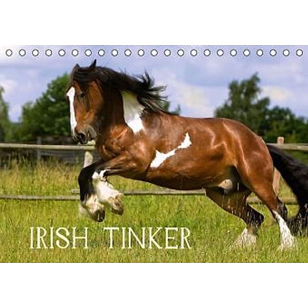 Irish Tinker (Tischkalender 2016 DIN A5 quer), Gabriela Wejat-Zaretzke