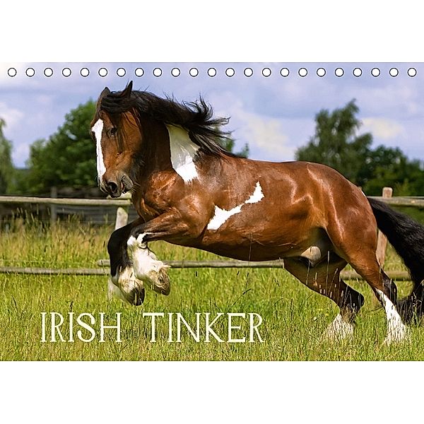 Irish Tinker (Tischkalender 2018 DIN A5 quer), Gabriela Wejat-Zaretzke