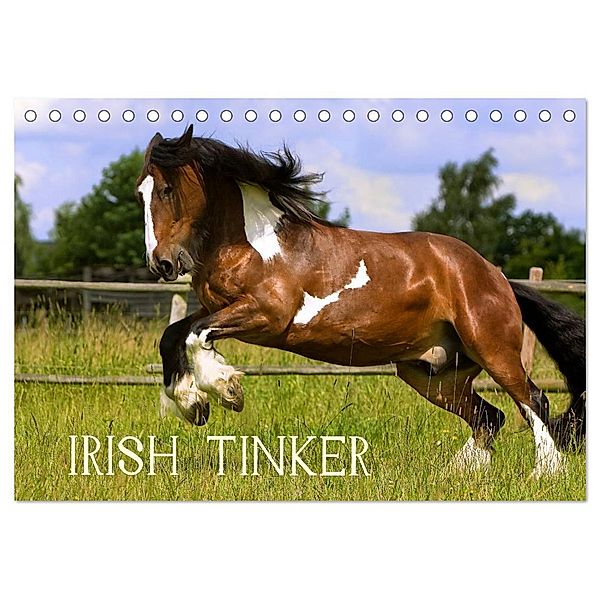 Irish Tinker (Tischkalender 2024 DIN A5 quer), CALVENDO Monatskalender, Gabriela Wejat-Zaretzke