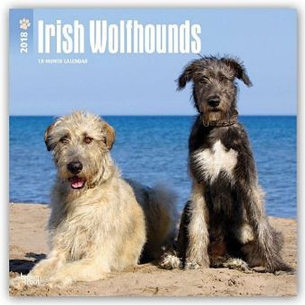 Irish Wolfhounds 2018, BrownTrout Publisher