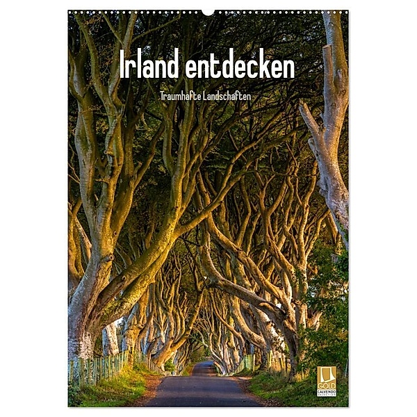 Irland entdecken (Wandkalender 2024 DIN A2 hoch), CALVENDO Monatskalender, Christian Ringer